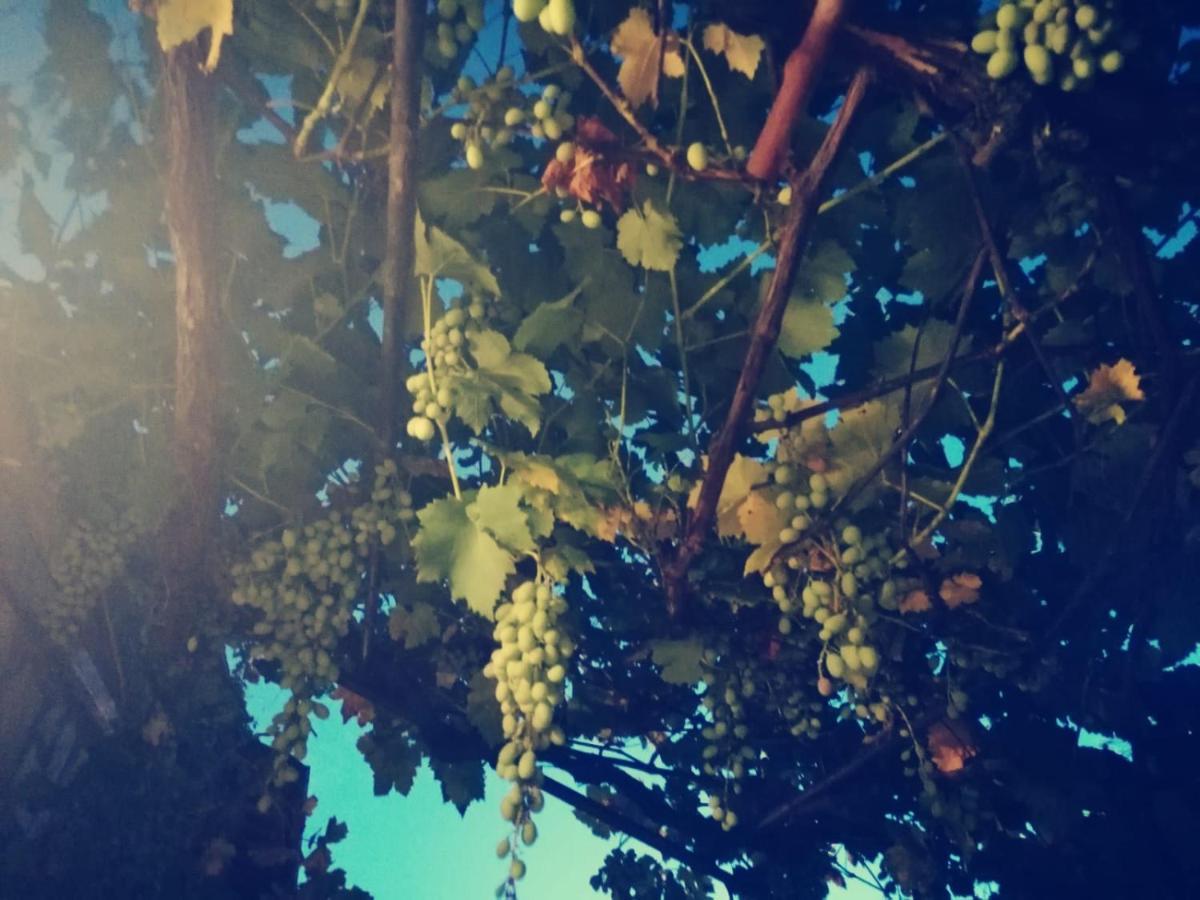 Casetta Nel Podere Di Massi باربيرينو دي موجيلو المظهر الخارجي الصورة