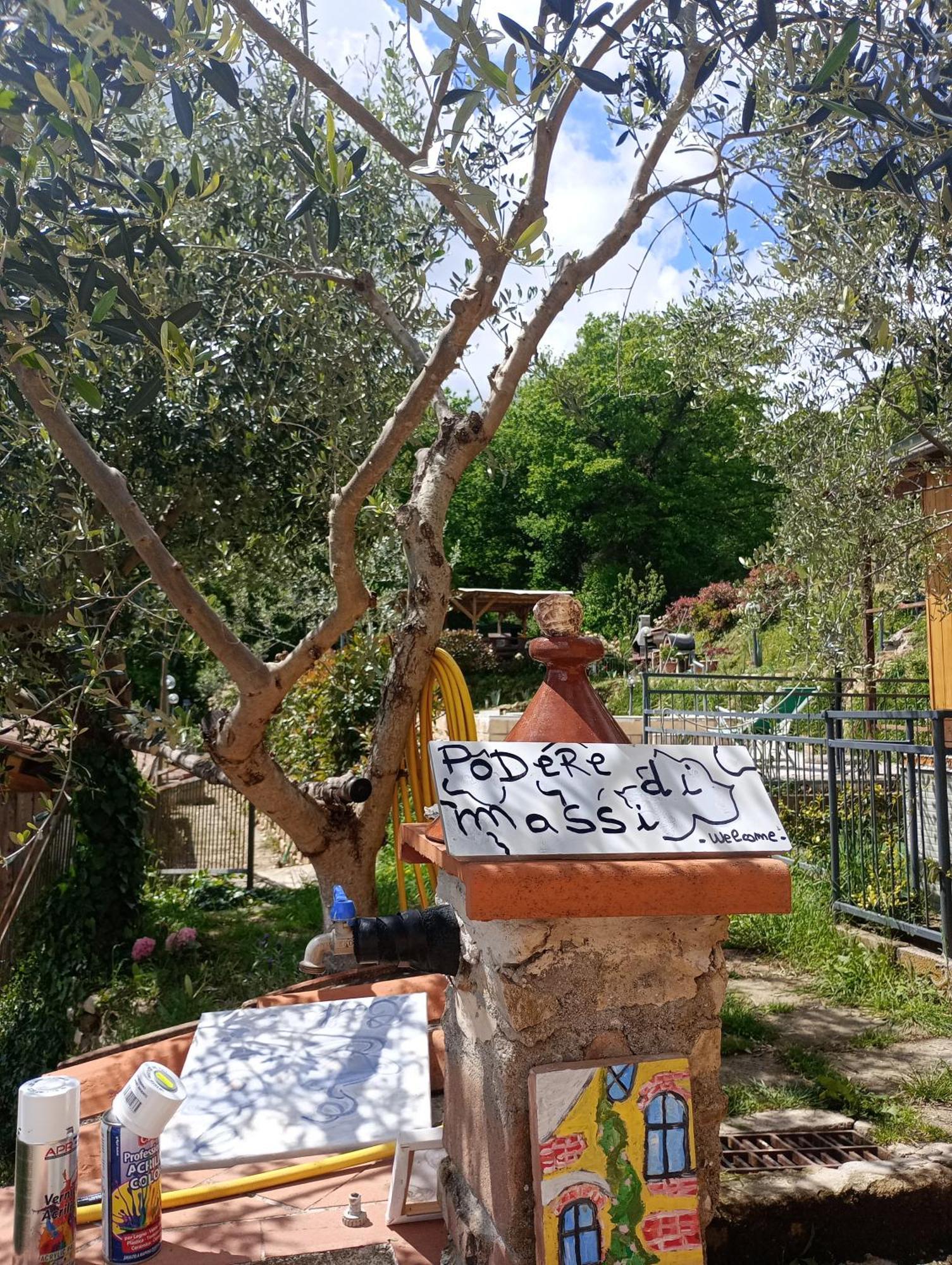 Casetta Nel Podere Di Massi باربيرينو دي موجيلو المظهر الخارجي الصورة