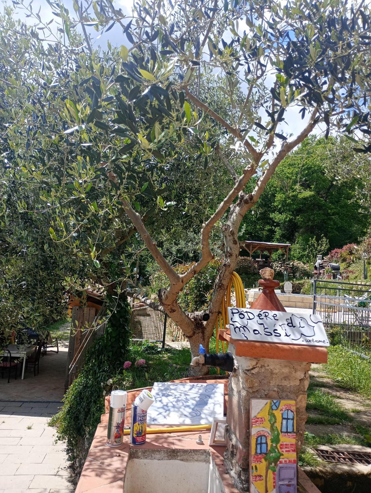Casetta Nel Podere Di Massi باربيرينو دي موجيلو المظهر الخارجي الصورة
